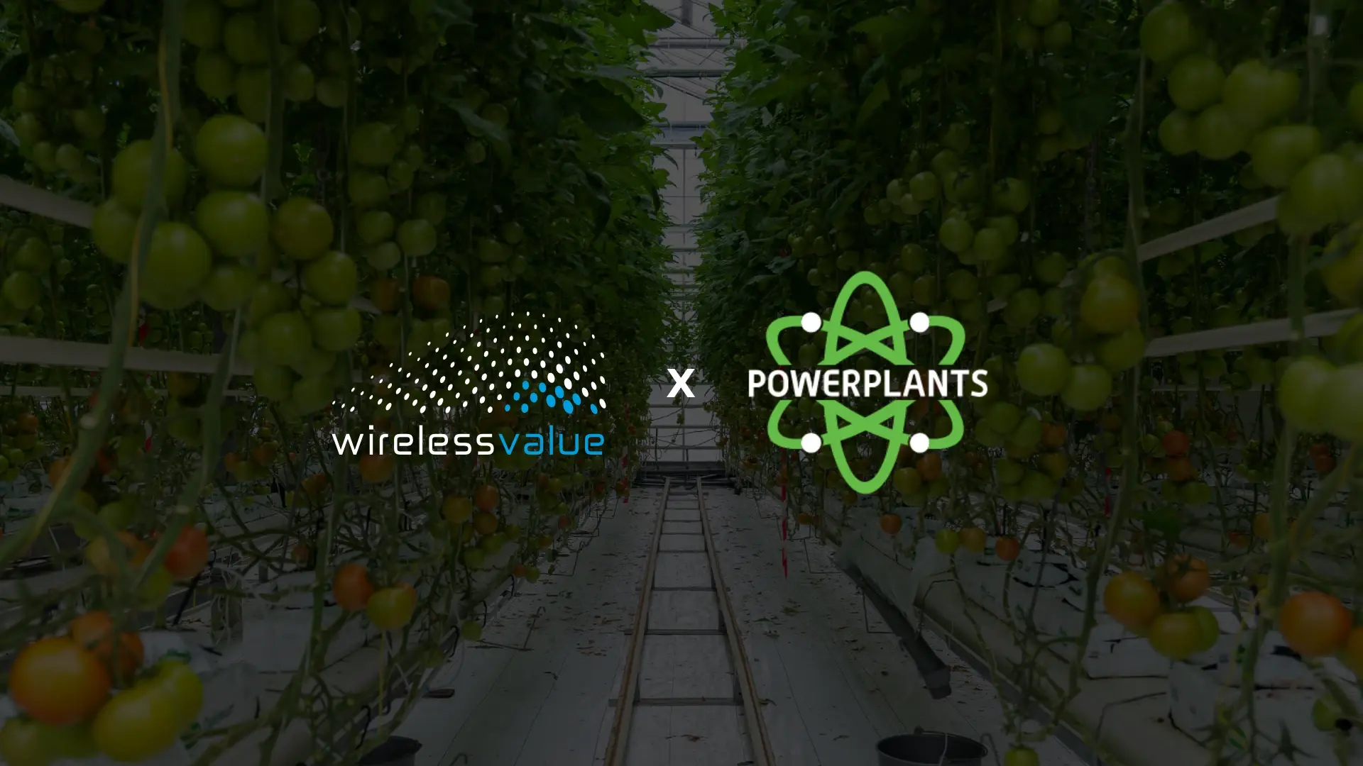 Powerplants x wirelessvalue